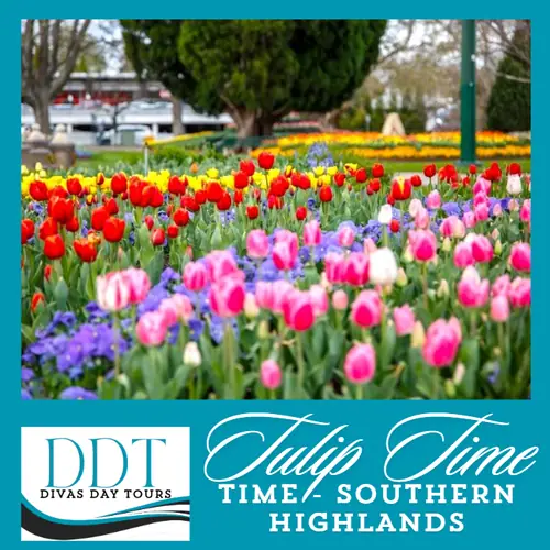 Bowral Tulip Festival - departs Penrith